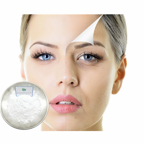 皮膚ホワイトニング99％純度粉84380-01-8アルファアルブチン粉末