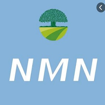 W+NMN品質管理のトップ10国際コア標準の詳細